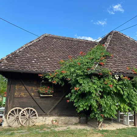 Etno Vajati Ferienhaus